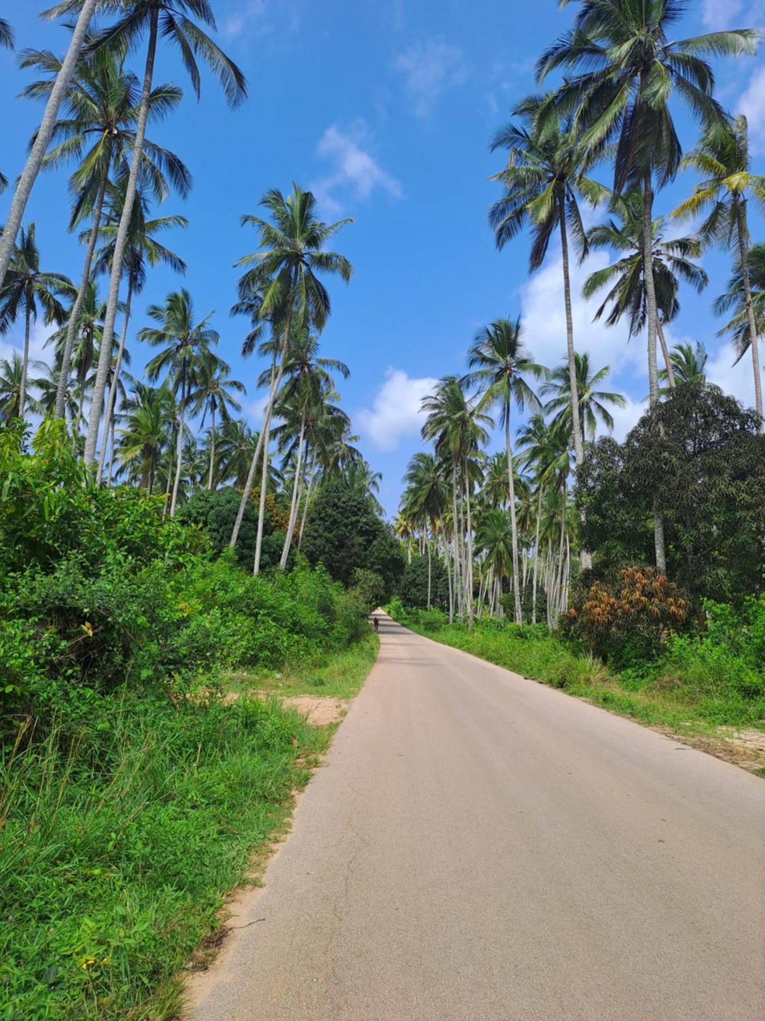 Villa Adelina Zanzibar 外观 照片