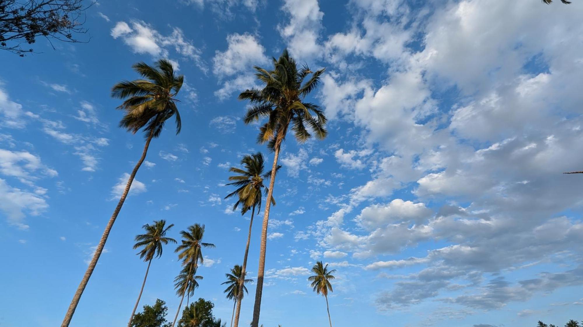 Villa Adelina Zanzibar 外观 照片